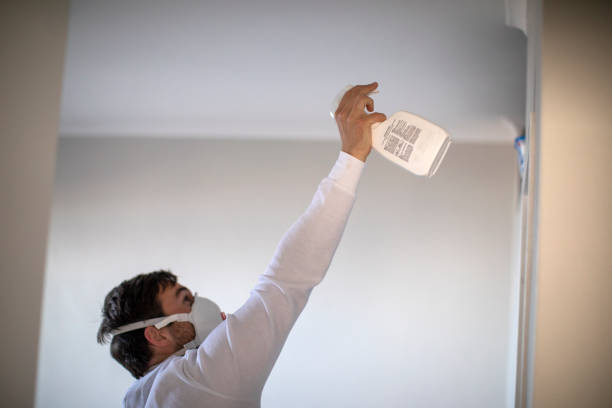 Best Bathroom Mold Remediation in Lancaster, TX