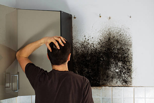 Best Bathroom Mold Remediation in Lancaster, TX